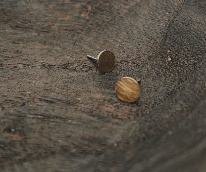 boucles d'oreilles puces